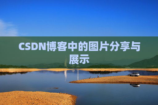 CSDN博客中的图片分享与展示